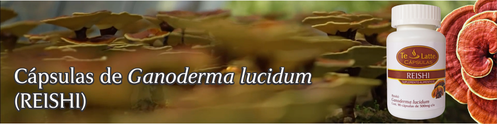 Te Latte CaféCápsulas de Ganoderma lucidum (REISHI)